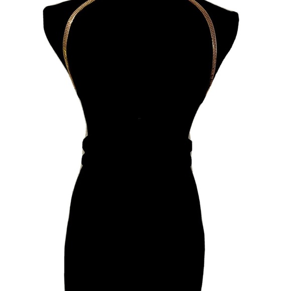 SASS AND BIDE UNDERWATER LOVE DRESS SIZE EU 38 AUS/UK 8 US X SMALL NWOT - Picture 6 of 14